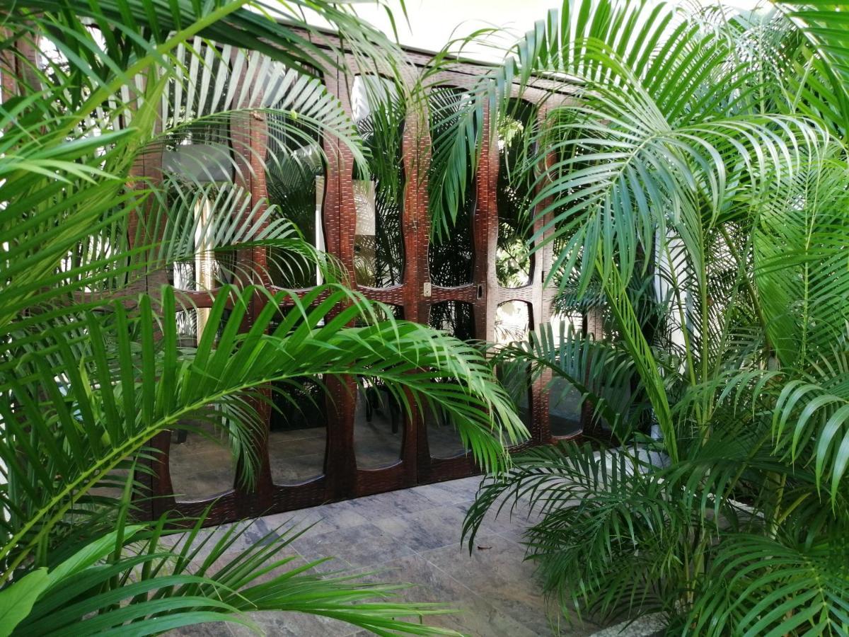Ceiba Studios Zihuatanejo Exterior photo